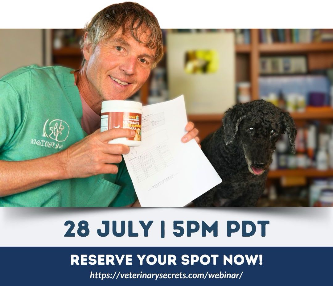 Webinar graphic for Free Dog and Cat Health Webinar
