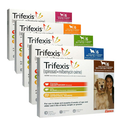 Comfortis trifexis clearance