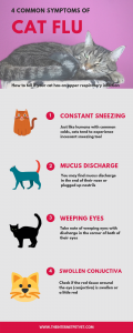 Effective Home Remedies For Sneezing Cats Veterinary Secrets With Dr