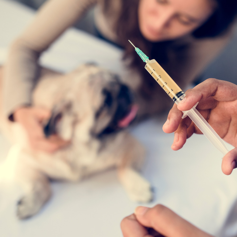 Pet Vaccines