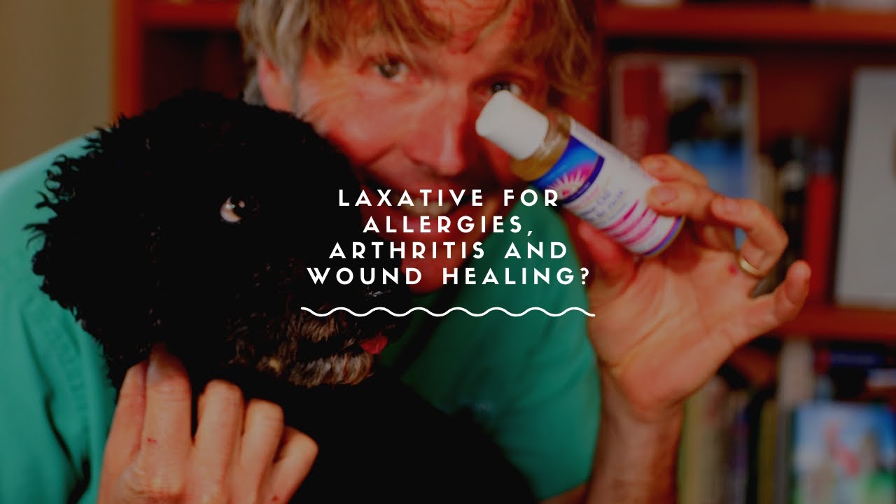 Is Castor Oil Safe for Pets? Castor Oil For Dogs and Cats Veterinary Secrets with Dr. Andrew
