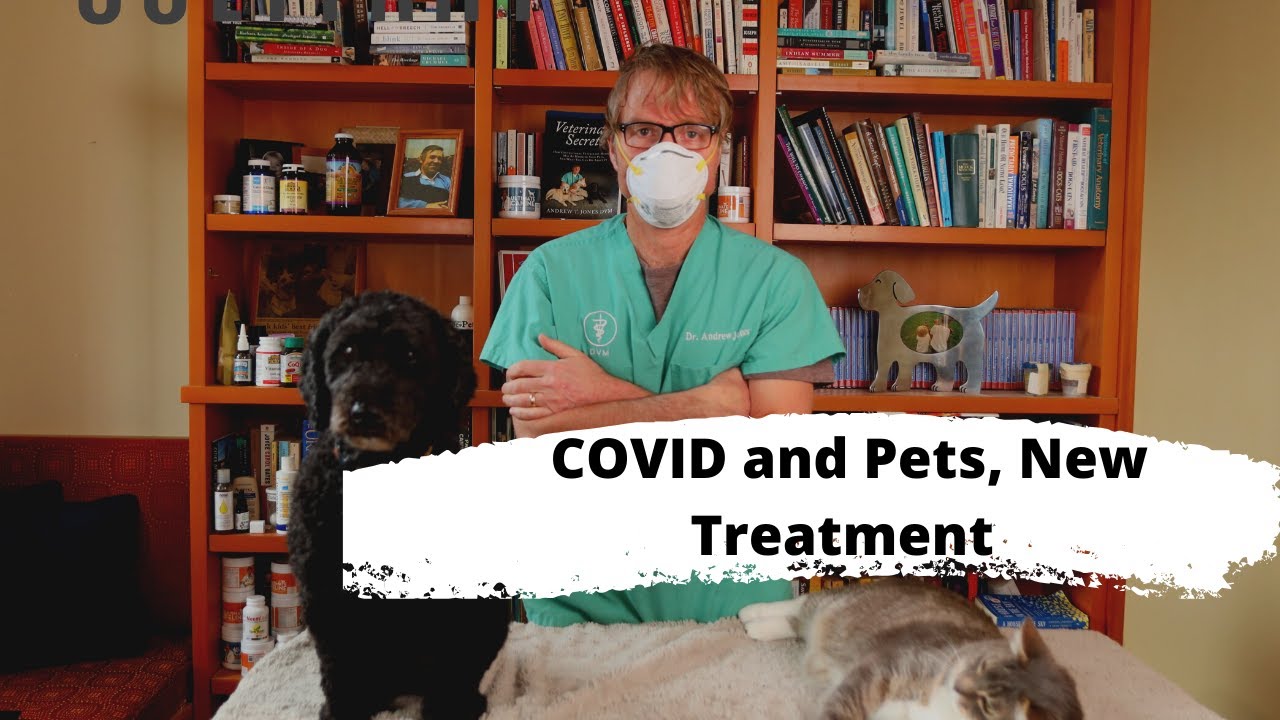 Quarantine blues veterinary secrets with dr andrew jones dvm