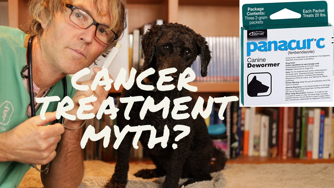 False Panacur For Cancer Veterinary Secrets With Dr Andrew Jones Dvm False Panacur For Cancer Veterinary Secrets With Dr Andrew Jones Dvm