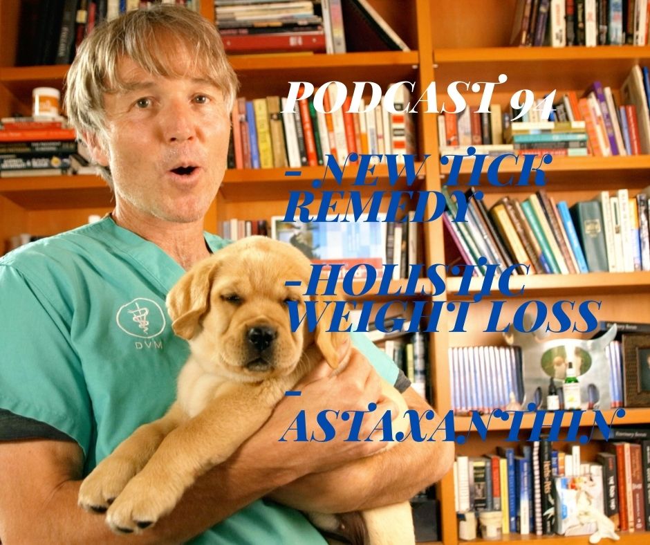 Ep 94 Dr Jones Veterinary Secrets Podcast Veterinary Secrets With