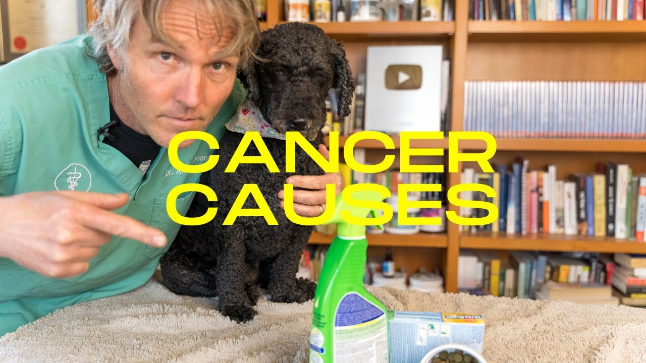 cancer-causes-in-dogs-and-cats-veterinary-secrets-with-dr-andrew