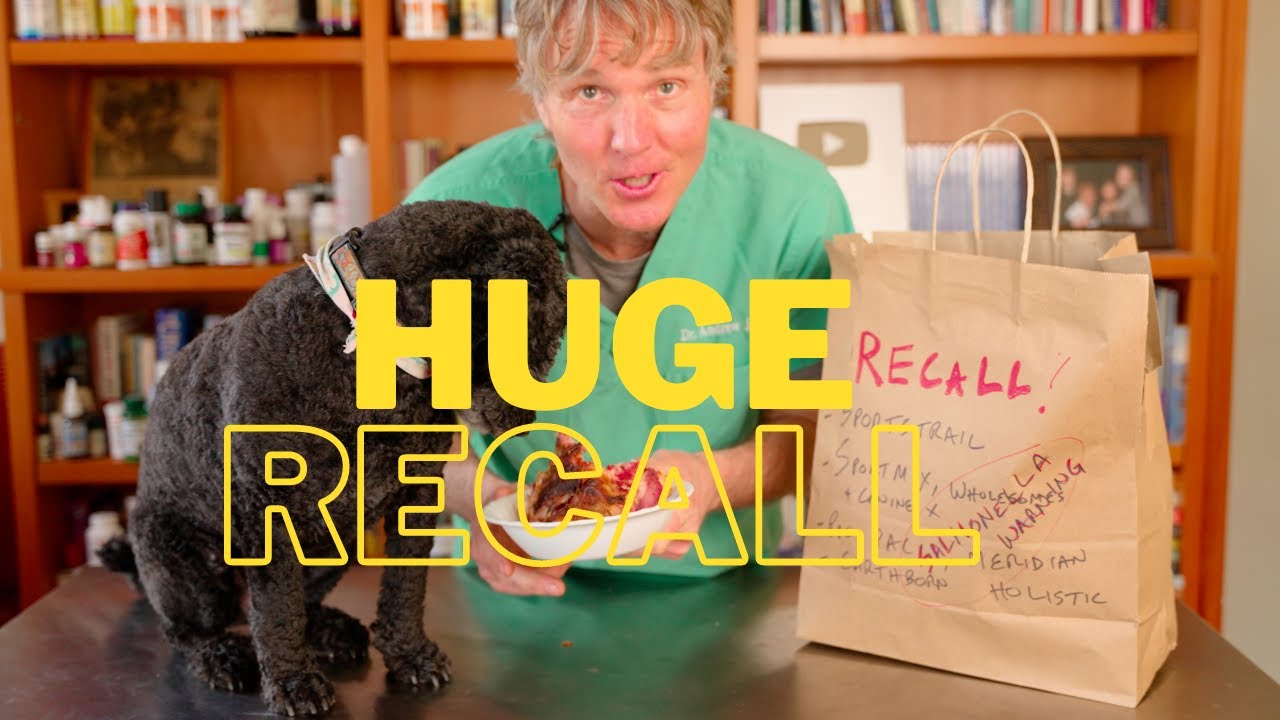 Massive Pet Food Recall Veterinary Secrets with Dr. Andrew Jones, DVM