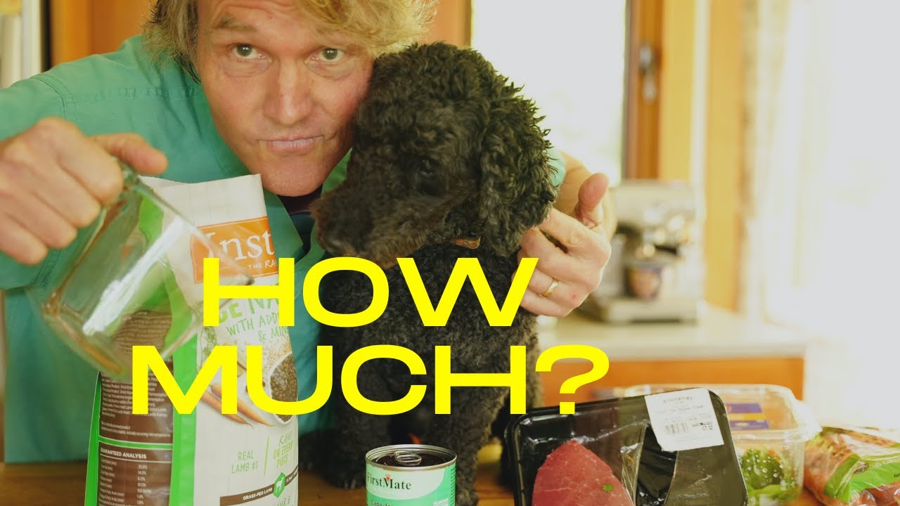 how-much-to-feed-your-dog-veterinary-secrets-with-dr-andrew-jones-dvm