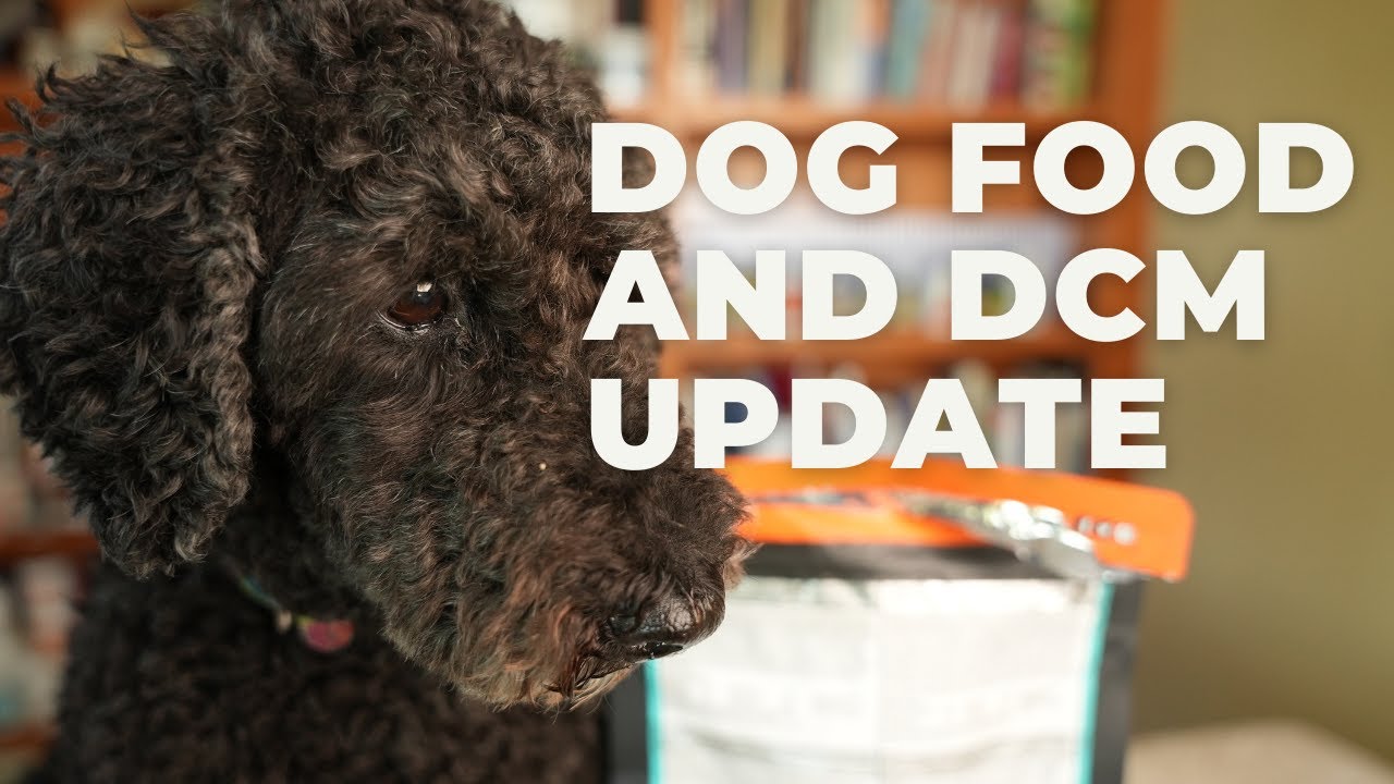 Dog Food and DCM UPDATE Veterinary Secrets with Dr. Andrew Jones, DVM