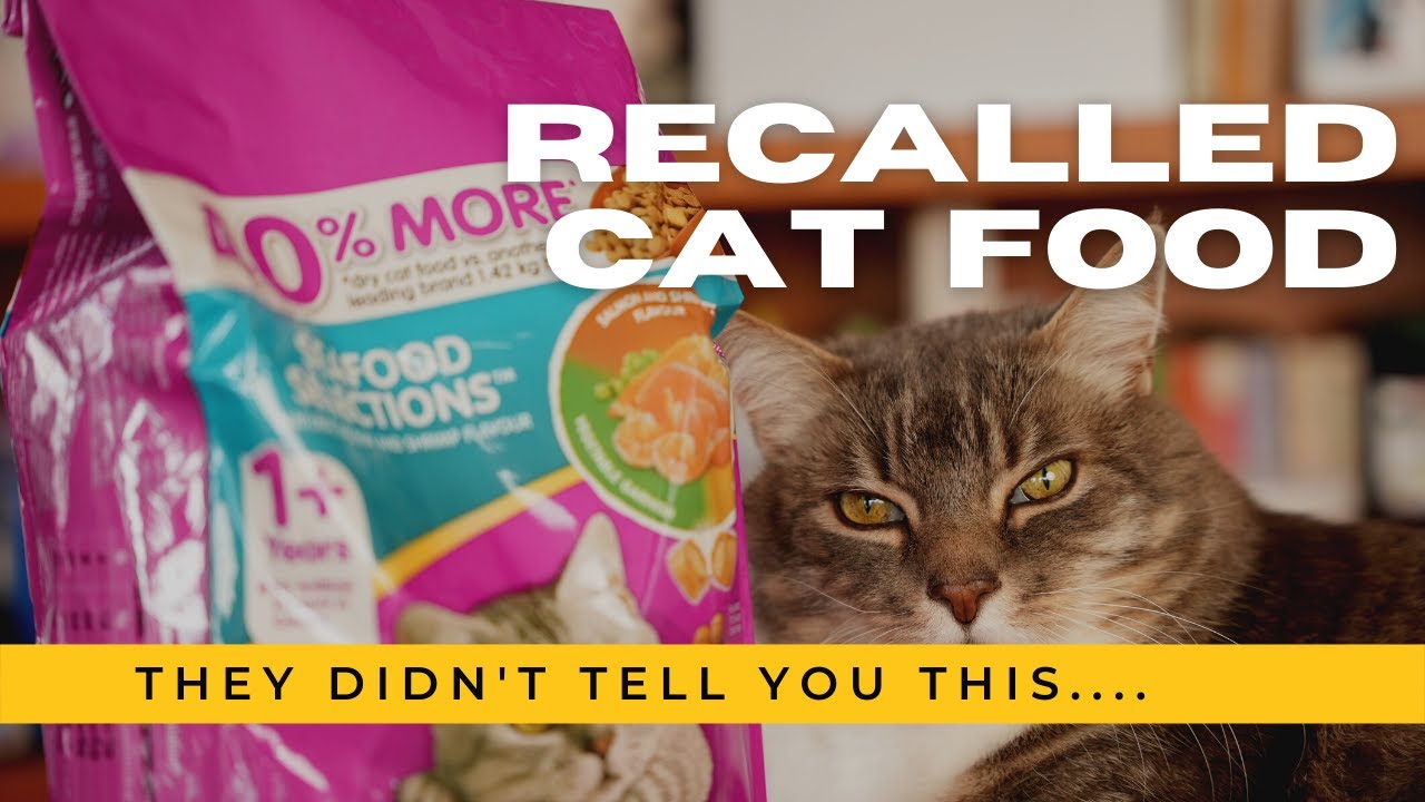 Cat Food Recall What they DIDN'T tell you Veterinary Secrets with Dr