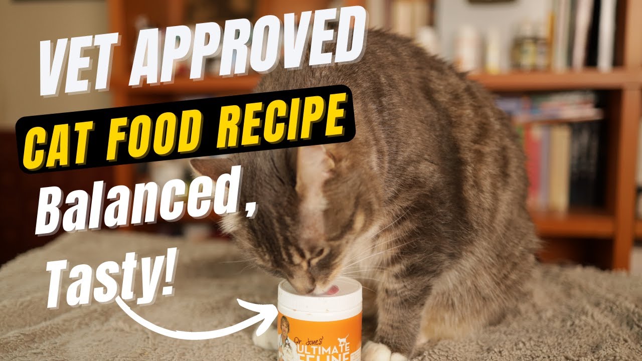 Balanced Tasty Homemade Cat Food Recipe Veterinary Secrets with