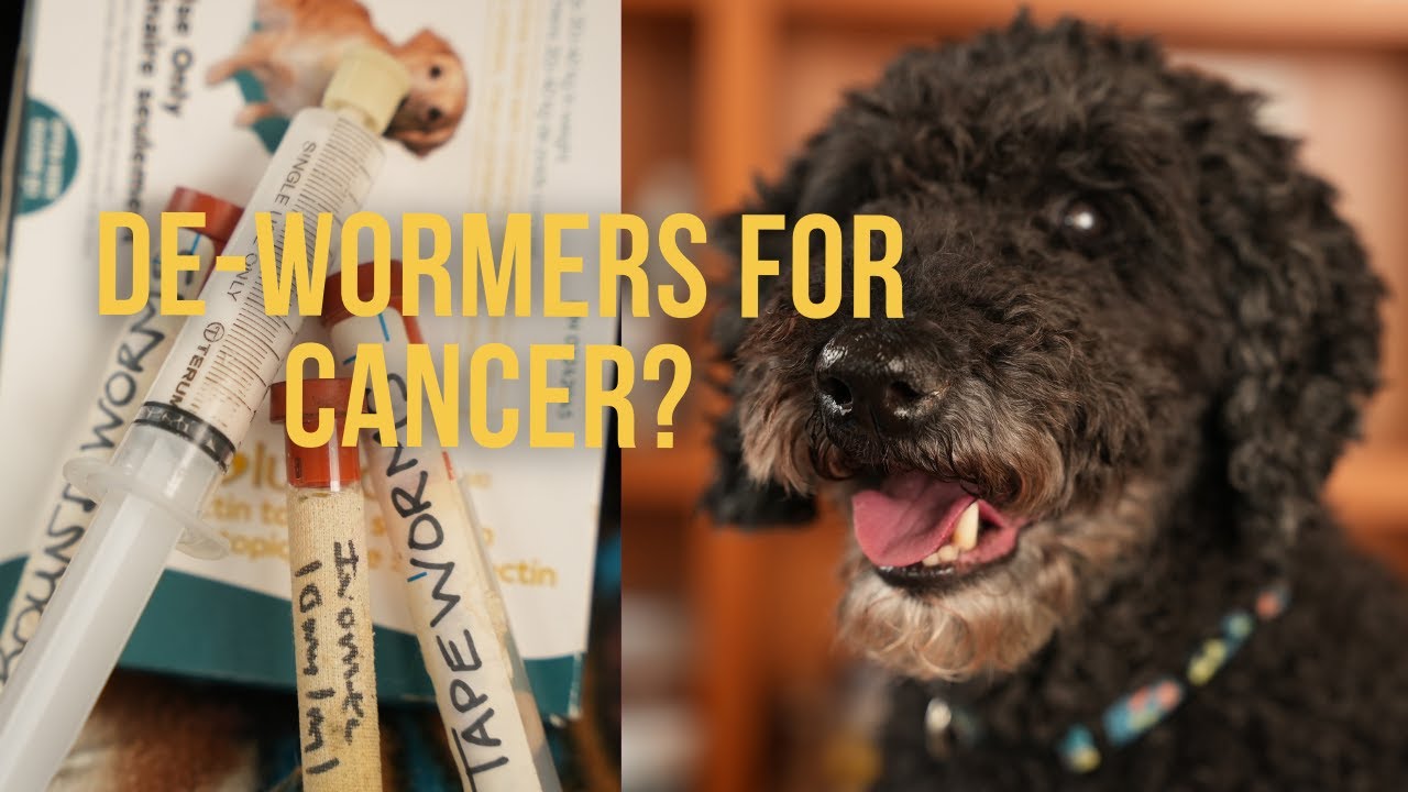 Dewormers for Cancer in Dogs and Cats Veterinary Secrets with Dr