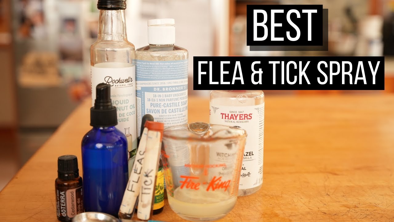 Best Ever Natural Flea and Tick Spray for Dogs and Cats Veterinary