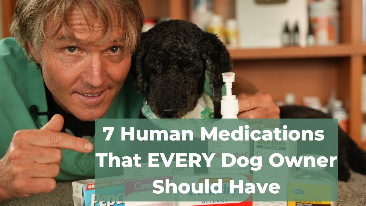 7 OTC Human Medications Safe and Effective for Dogs - Veterinary ...