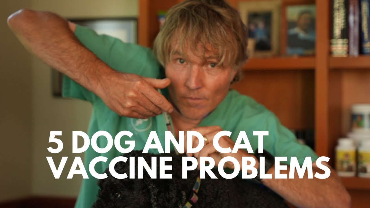 5 Problems with Vaccines for Dogs and Cats - Veterinary Secrets with Dr ...