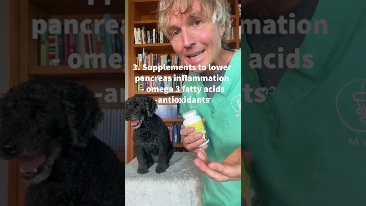 Pancreatitis is a serious dog disease here’s how to naturally prevent