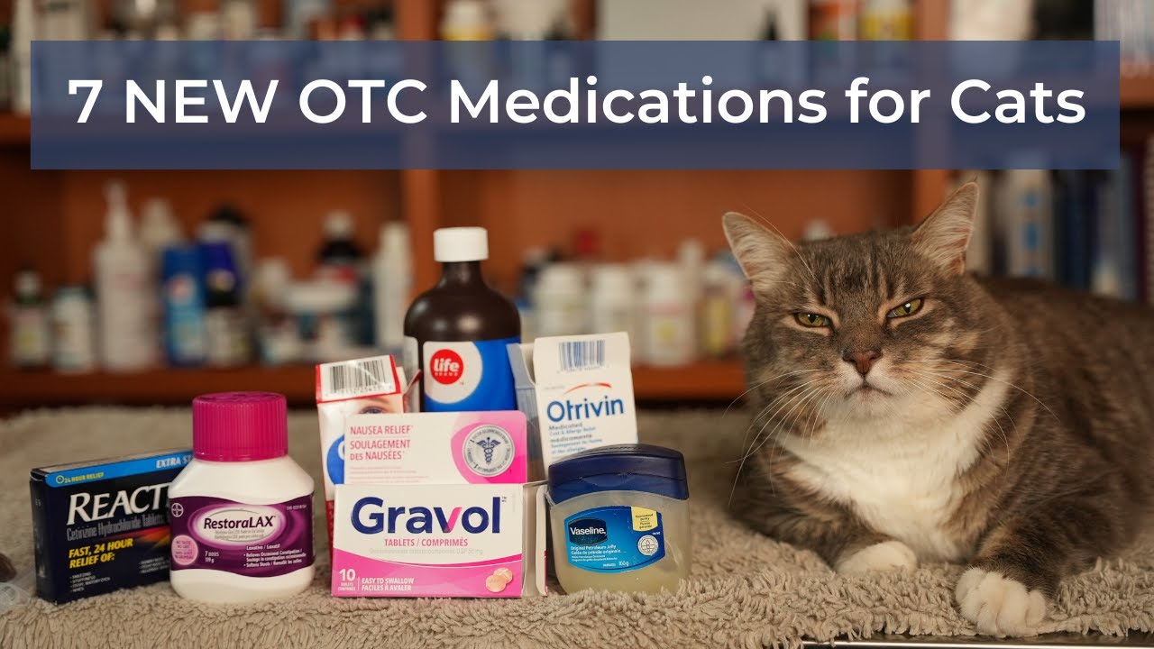 7 NEW OTC Medications for Cats - Veterinary Secrets with Dr. Andrew ...