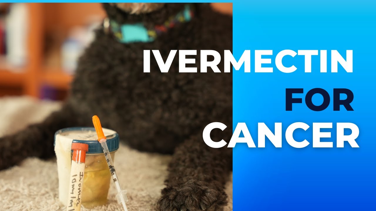 Ivermectin for Cancer in Dogs Doses and Regimens Veterinary Secrets with Dr. Andrew Jones, DVM