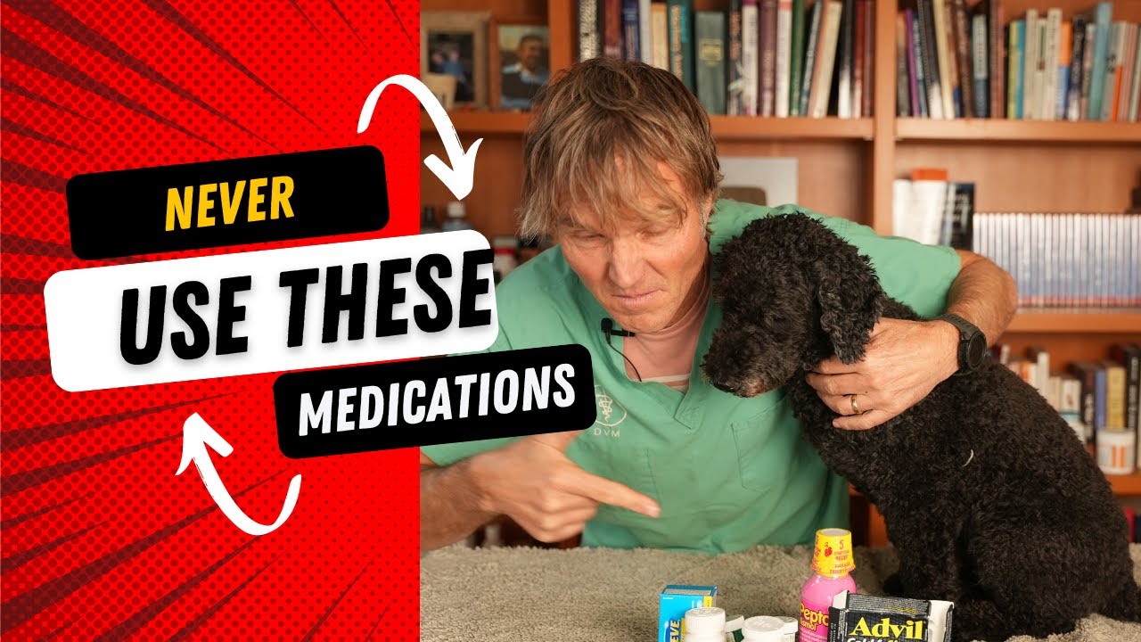 7 Human Medications to NEVER give to your Dog or Cat