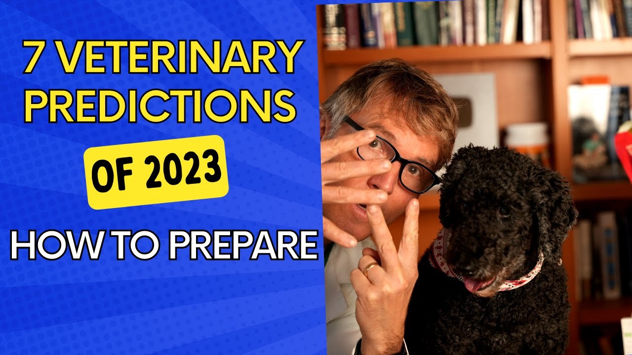 7 Veterinary Predictions for 2023 and How to Prepare for Them!