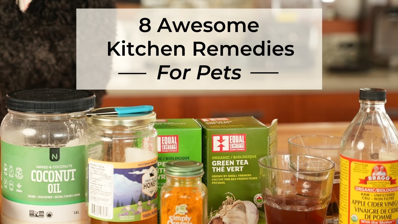 8 Awesome Kitchen Remedies for Dogs and Cats