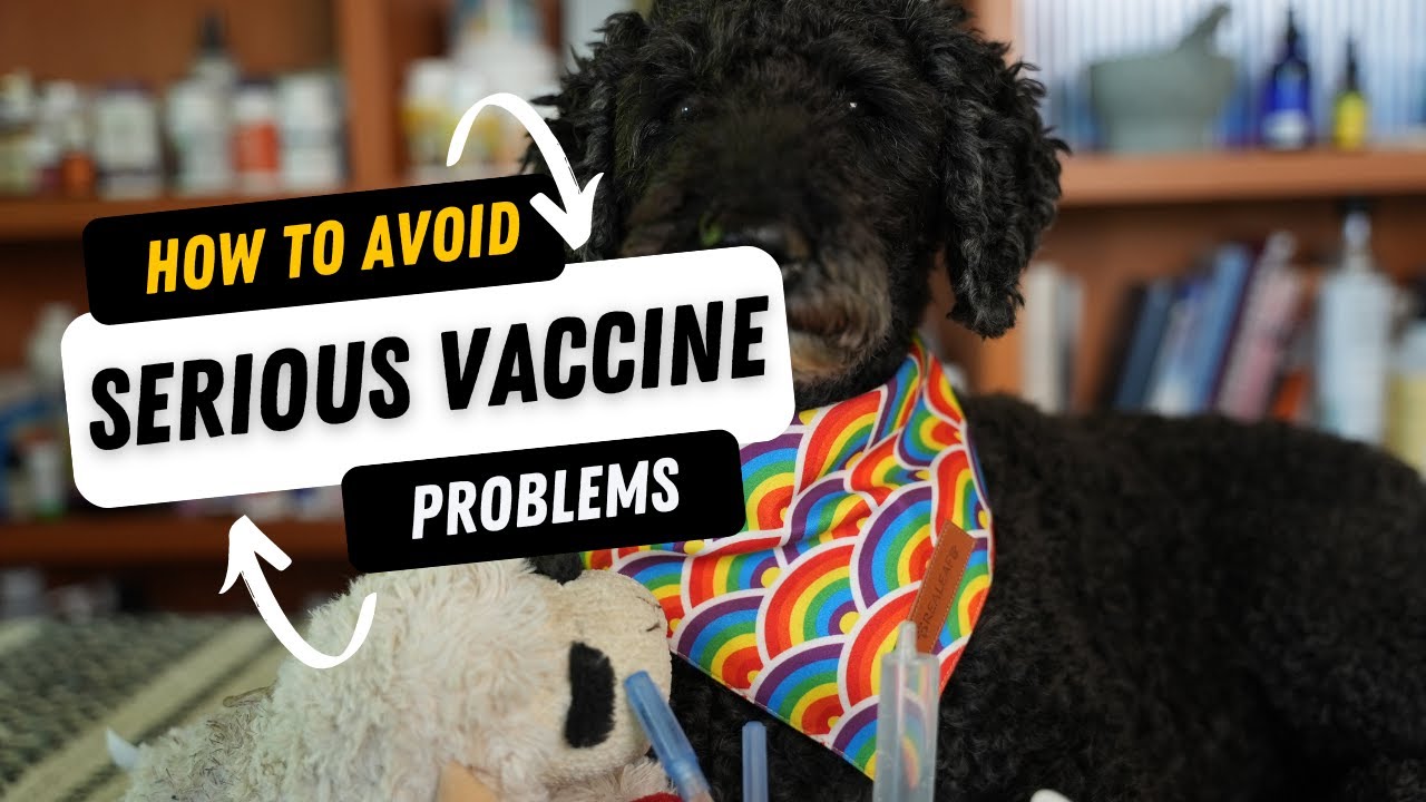 A Common Sense approach to vaccinating your dogs and cats