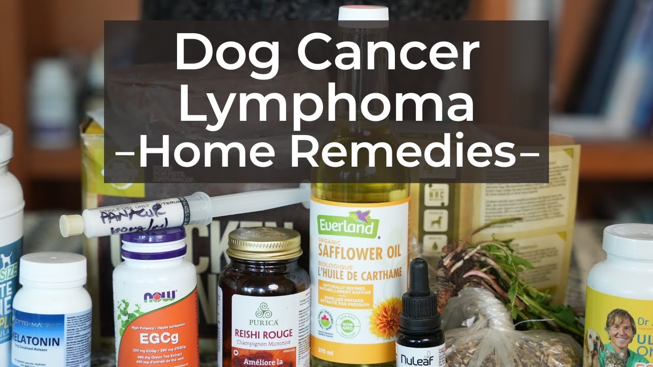 Dog Lymphoma: Alternative Cancer Regimen