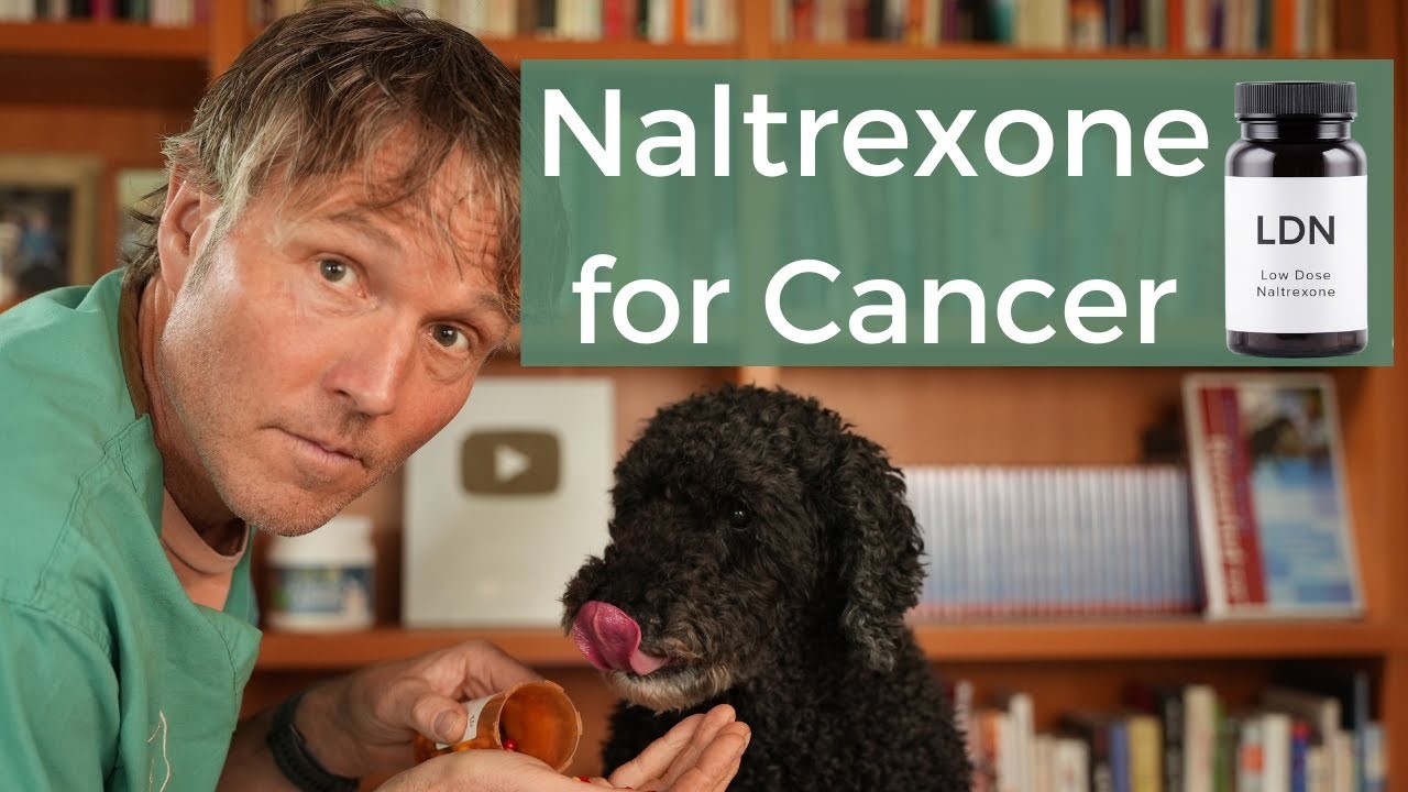How Low Dose Naltrexone Can Extend Your Pet's Life Post-Cancer - Veterinary  Secrets with Dr. Andrew Jones, DVM