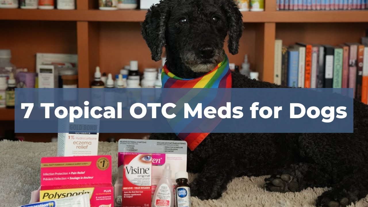 7 Topical OTC Medications for Common Dog Health Problems: Allergies, Ear Infections, Eye Infections