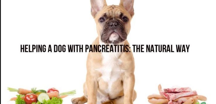 New Remedies for Pancreatitis