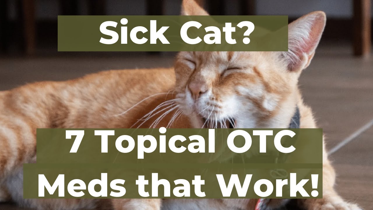 Revealing the Secrets 7 Topical Essential OTC Medications for Your Cat