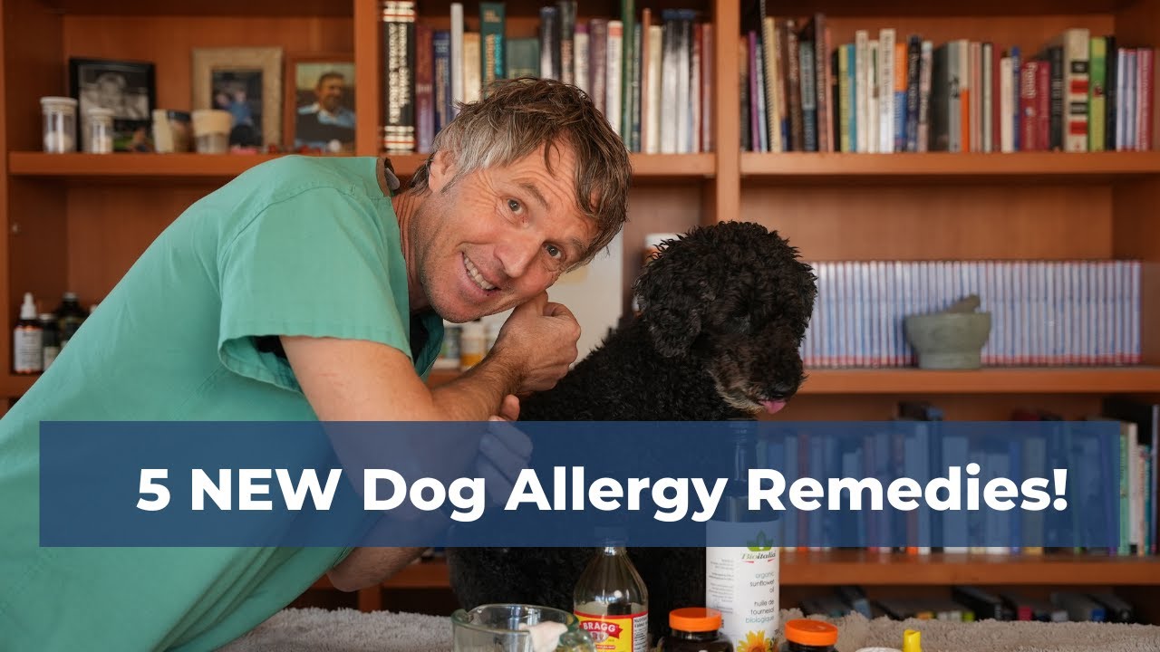 5 Surprising Home Remedies for Dog Allergies – Scientifically Proven to Help!