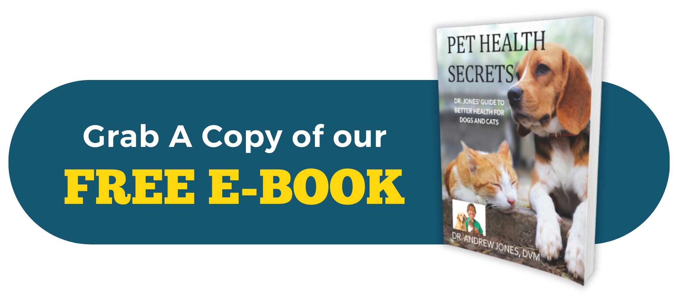 celebrating-1-million-youtube-subscribers-veterinary-secrets-with-dr