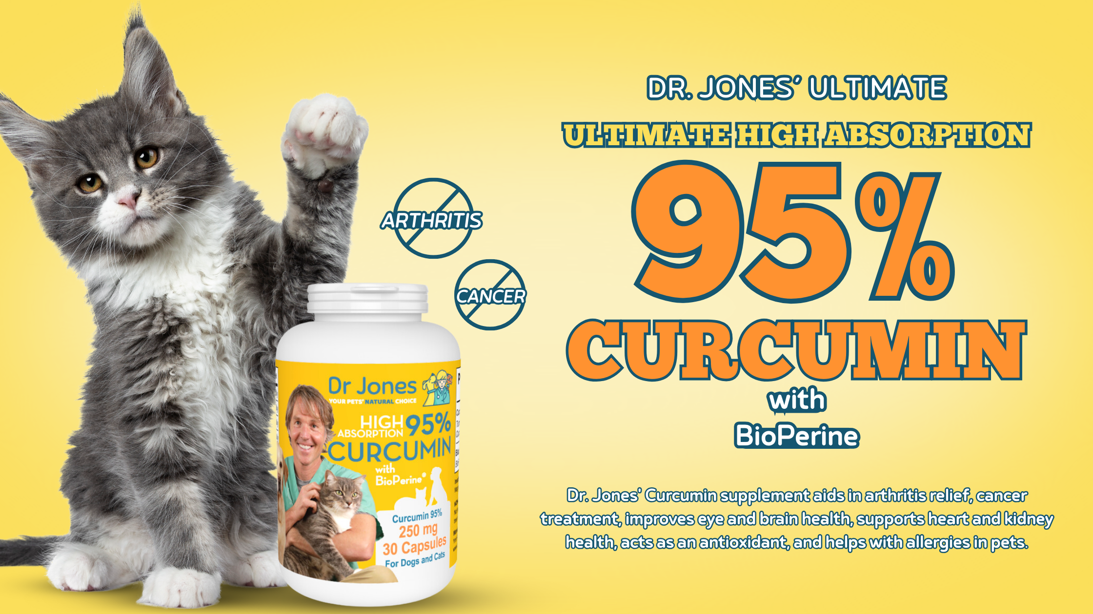 Dr. Jones' Ultimate High Absorption 95% Curcumin is Non-GMO and gluten free, and contains no wheat, corn, soy, or any artificial colors, flavors, or preservatives. The supplement is in capsule form (powder in capsules), containing 250mg Curcumin (BCM-95® ~ Curcugreen®) per capsule, with 30 capsules per ja