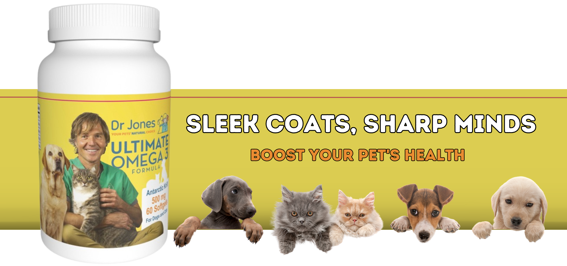 Natural Heartworm Prevention And Treatment Options For Dogs And Cats 