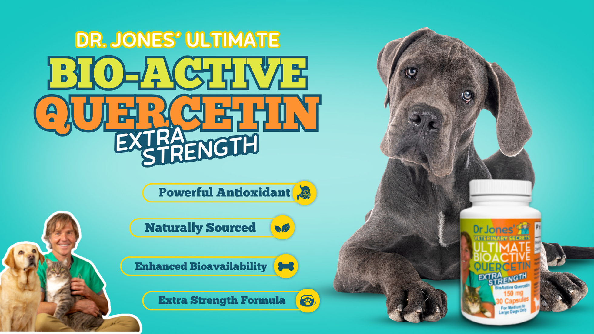 Dr. Jones' Extra Strength Ultimate BioActive Quercetin is Non-GMO and gluten free, and contains no wheat, corn, soy, or any artificial colors, flavors, or preservatives. The supplement is in capsule form (powder in capsules), containing 150mg Quercetin per capsule, with 30 capsules per jar. Bio-Active Quercetin Extra Strength version is Recommended for Medium to Large Dogs Only.