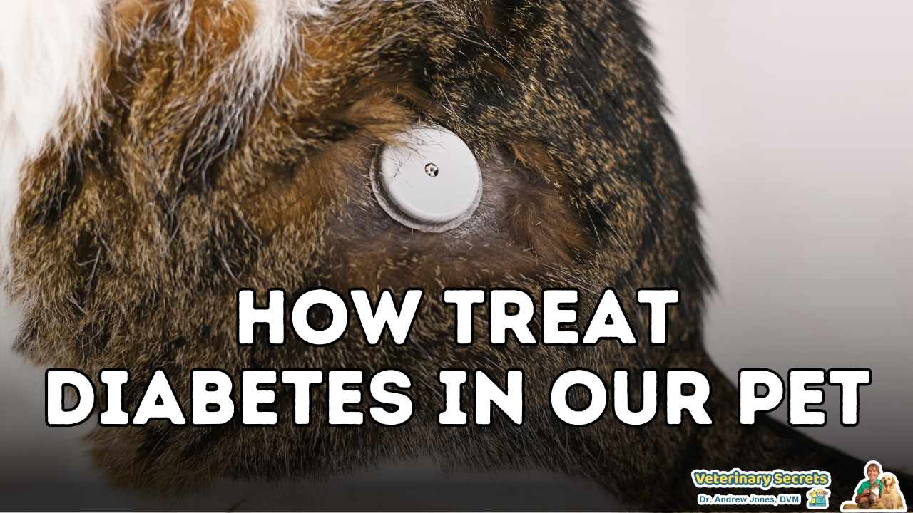 Treat Diabetes without Insulin injections