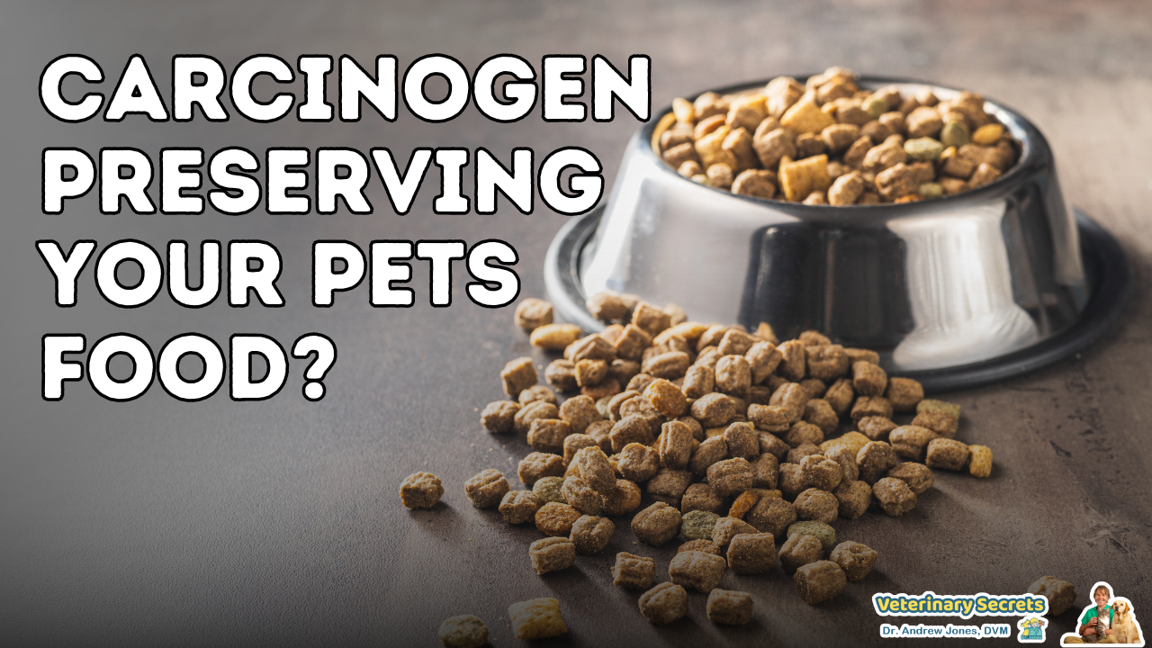 Shocking Discovery: Is a Known Carcinogen Lurking in Your Pet’s Food?