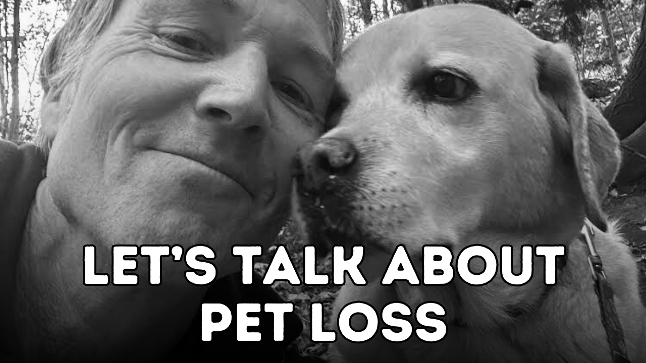 Struggling with Pet Loss | 7 Steps to Help Cope