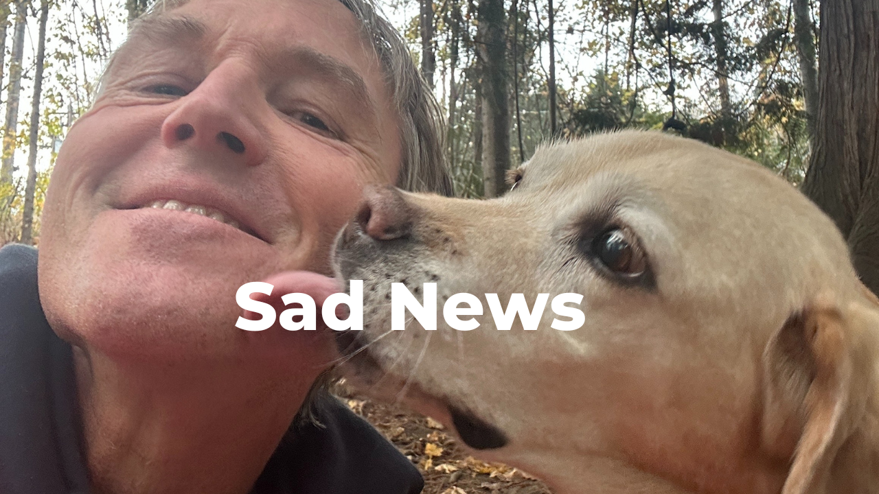 Sad News About Pippi