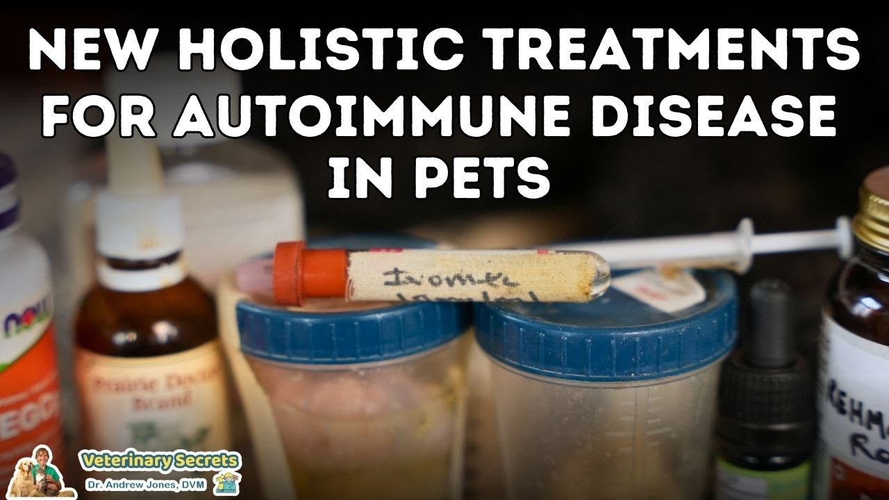The De-wormer Ivermectin for Autoimmune Disease in Dogs and Cats ...