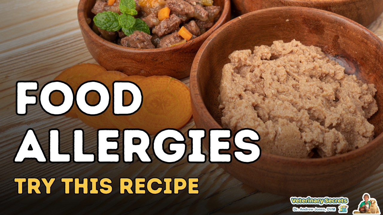 Food allergies in Dogs and Cats: Try this recipe