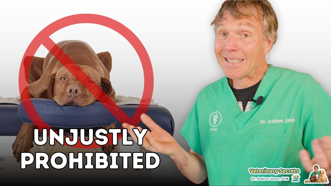 Are Non-Veterinary Animal Health Practitioners Being Unfairly Banned?