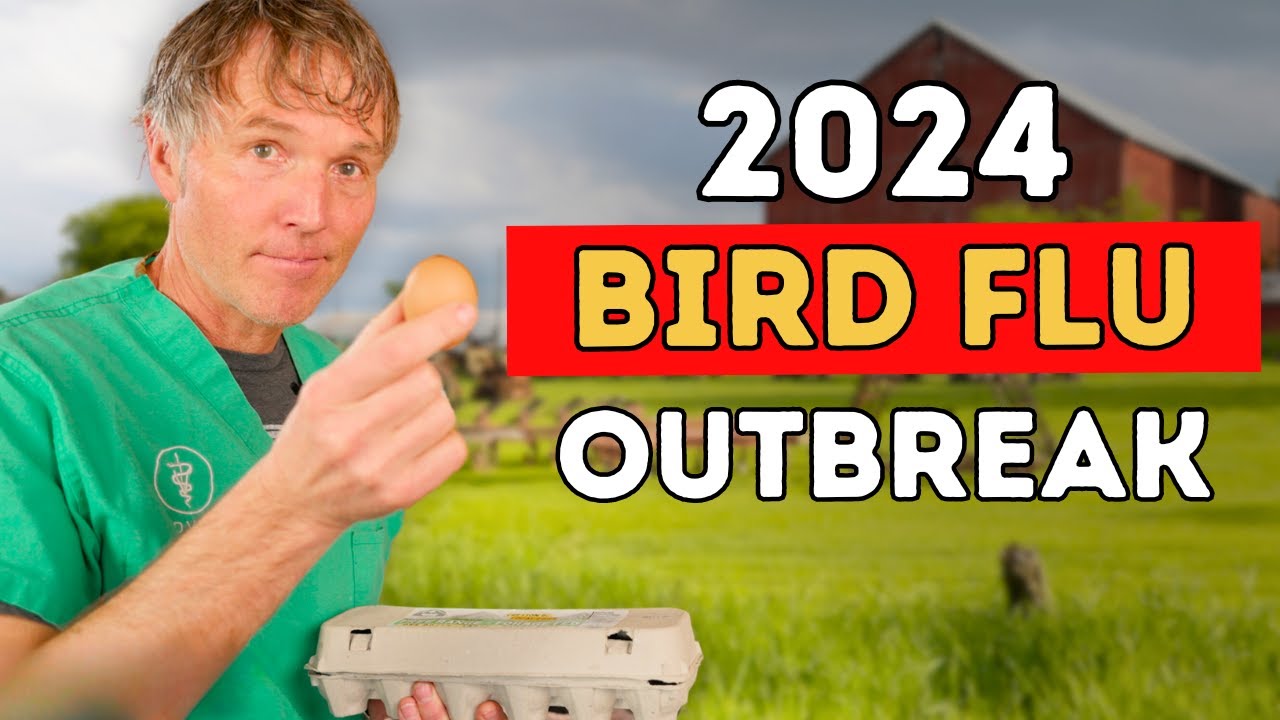 2024 Bird Flu Outbreak: Should Pet Owners Be Alarmed?