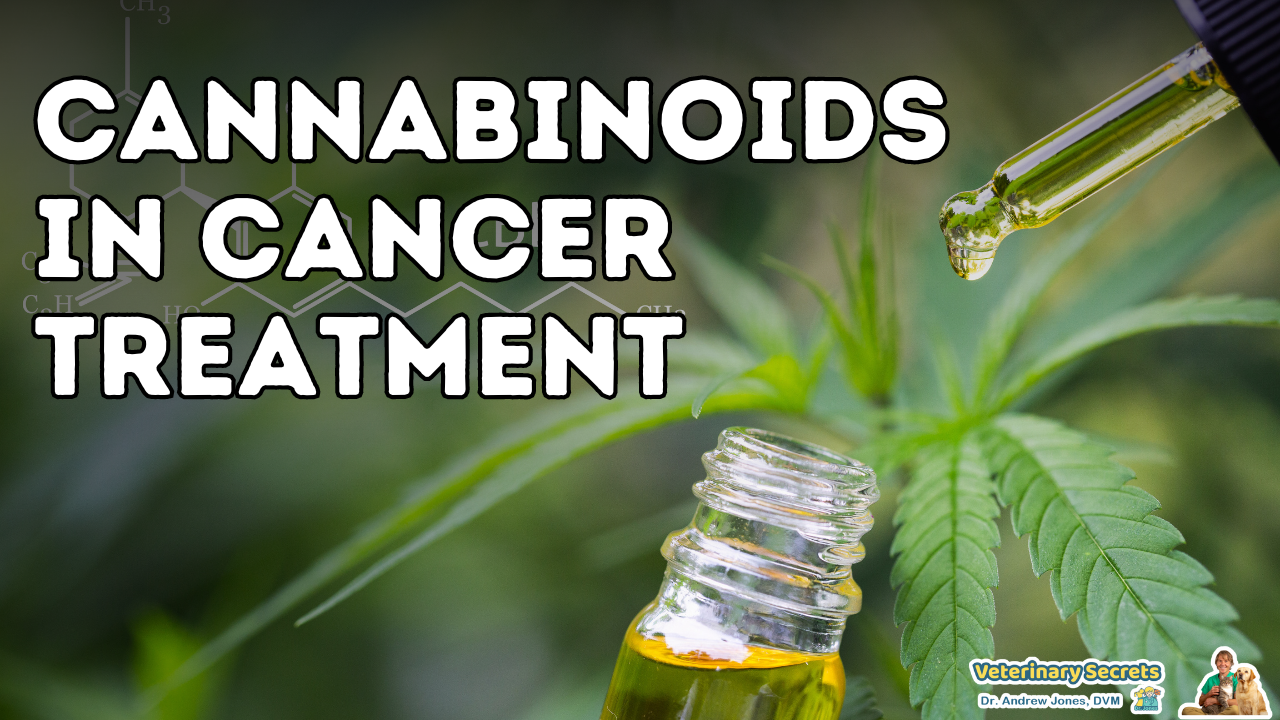 Cannabinoids in cancer treatment: New Ultimate Cannabinoid Blend