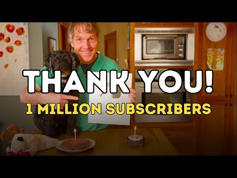 Celebrating 1 Million YouTube Subscribers