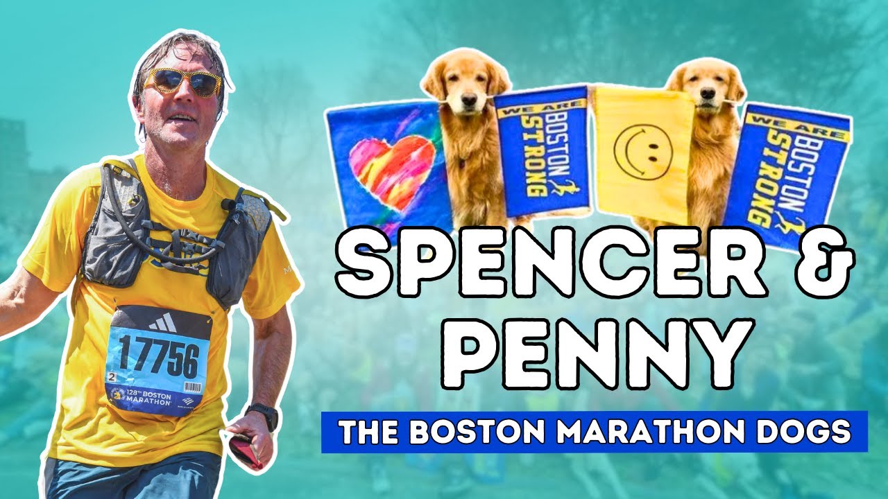 The Late Boston Marathon Dogs; Spencer and Penny