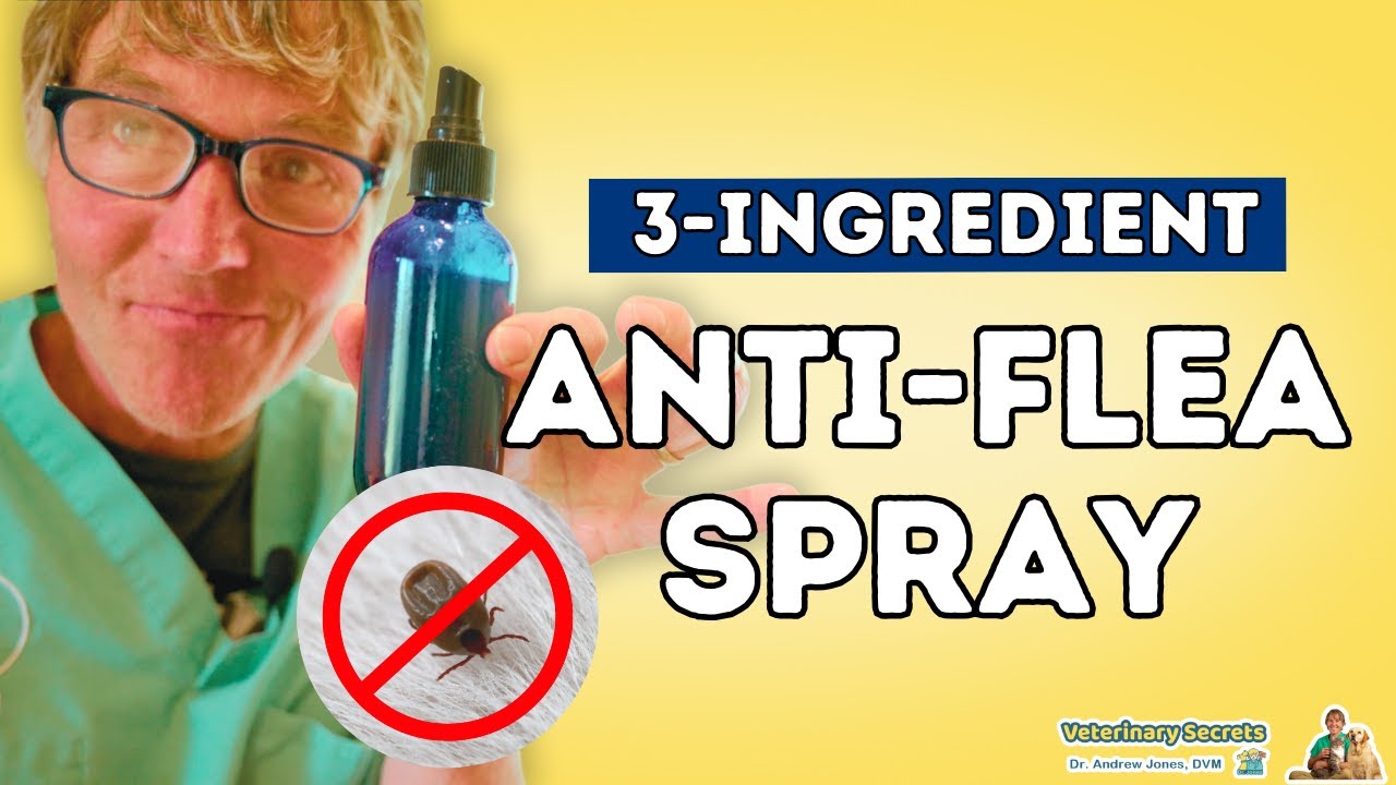 How to Make Your Own Natural Flea Repellent with Dr. Jones’s 3-Ingredient Solution
