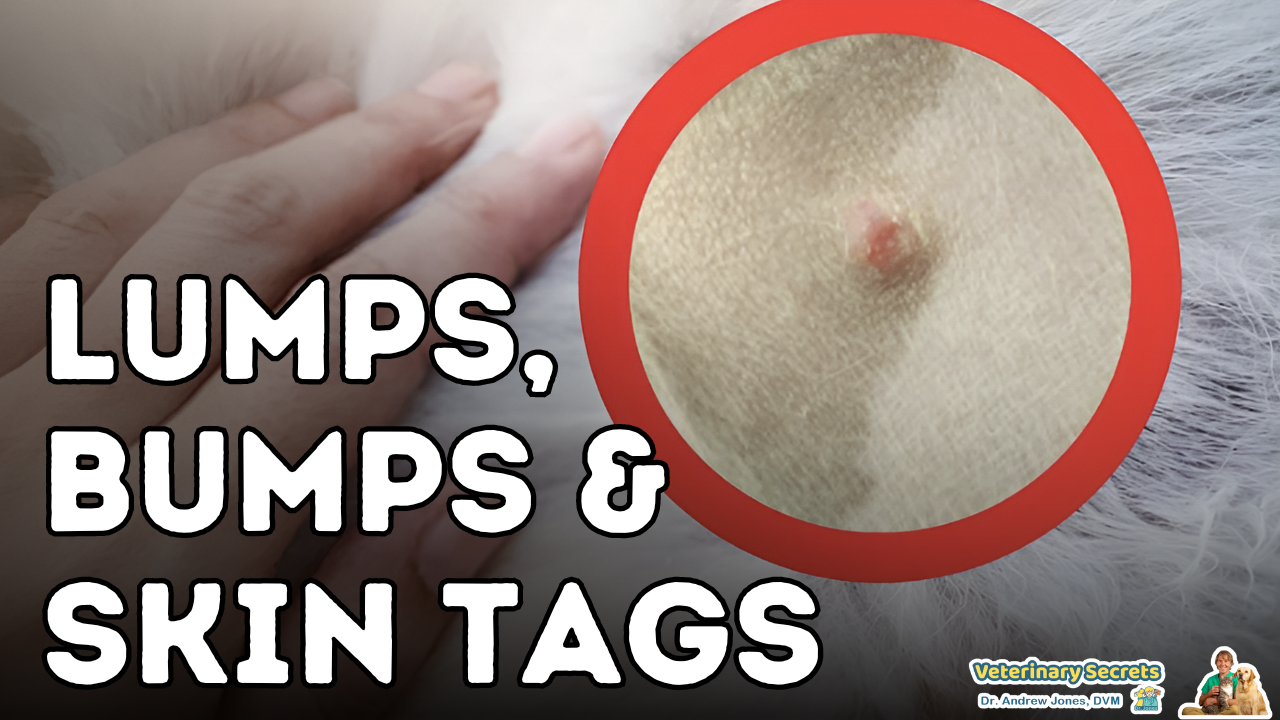How to Safely Remove Skin Bumps and Tags: 11 Proven Tips