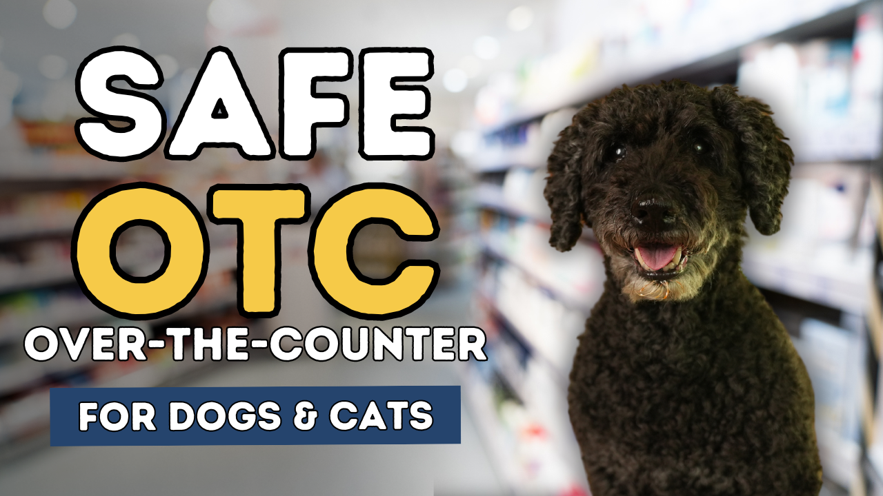 Safe and Effective Over-the-Counter (OTC) Solutions for Your Pets’ Ailments