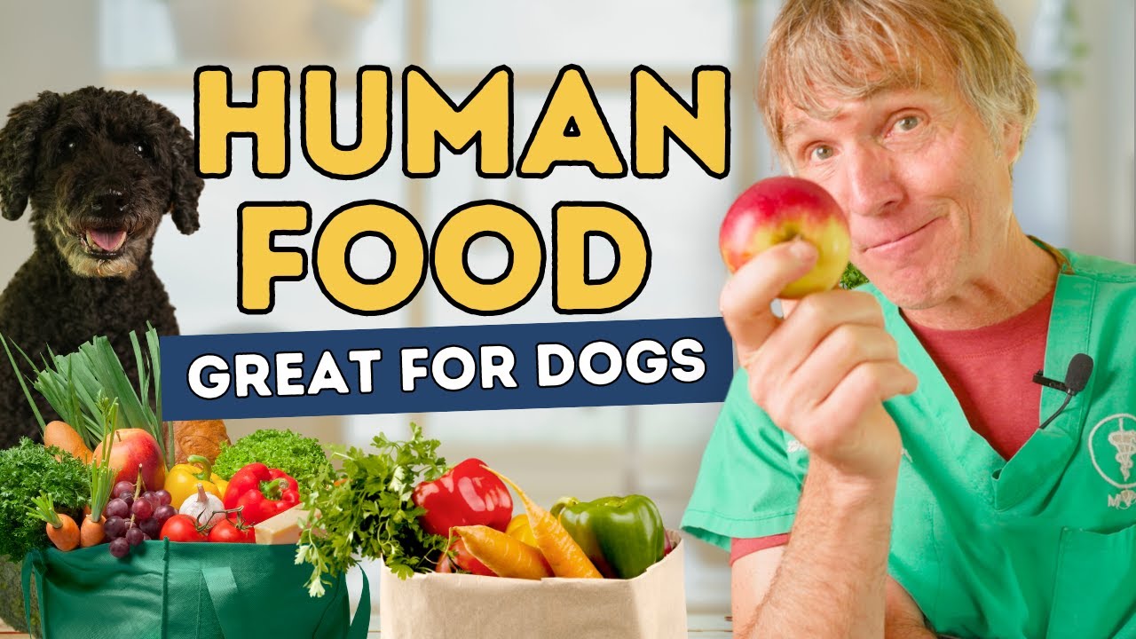 Seven Lesser-Known Human Foods That Are Safe, Effective, and Healthy for Dogs